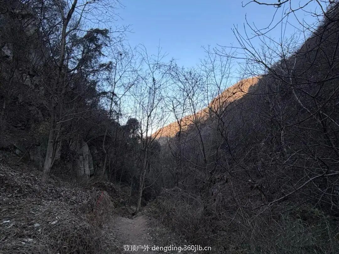 文章附图