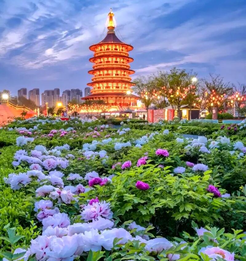 文章附图