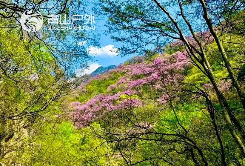 文章附图