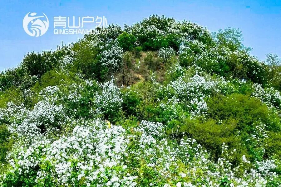 文章附图