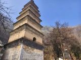 文章附图